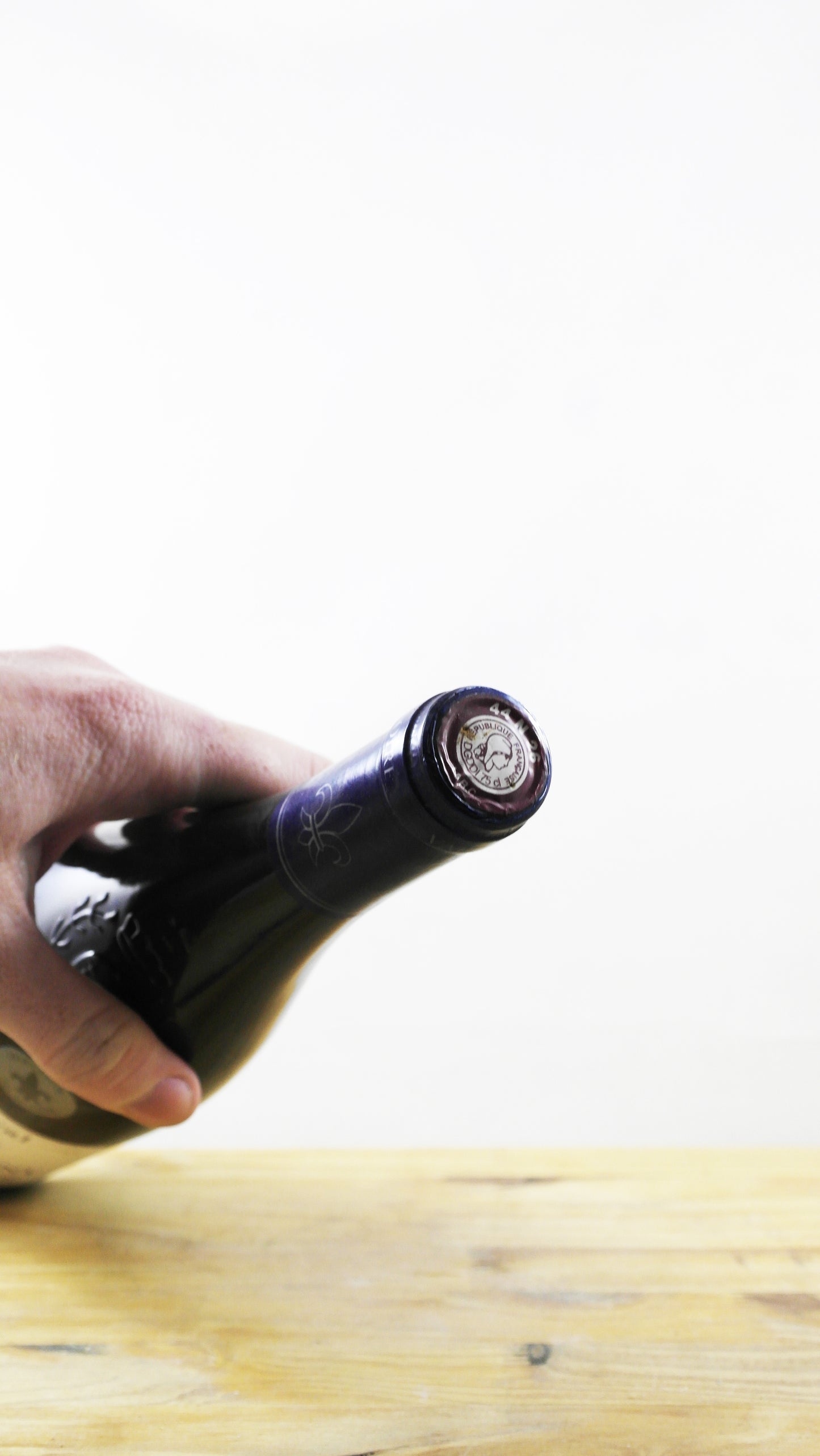 Plessis Duval Saumur Champigny 2013