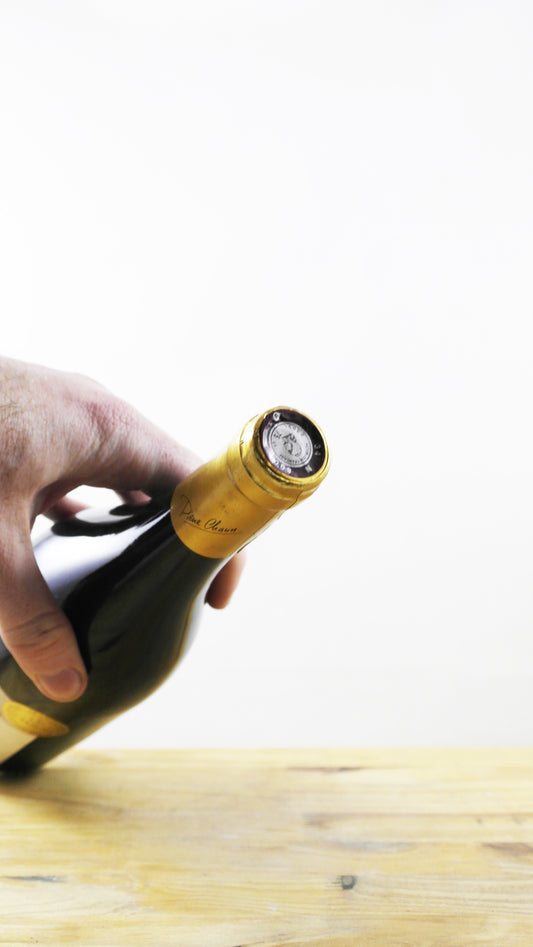 Vallis Queyras Famille Chavin 2013