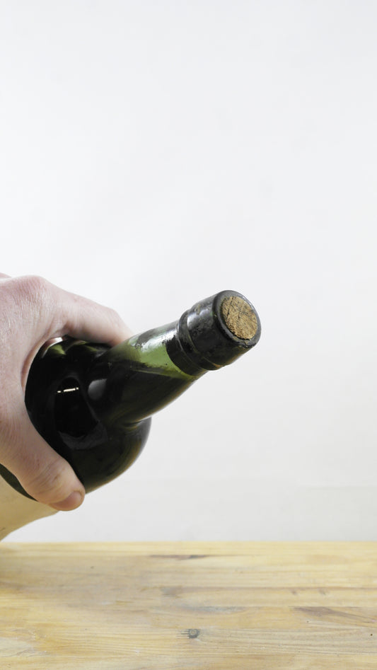 Saint-Julien Jean Nony-Borie 1964 ELA