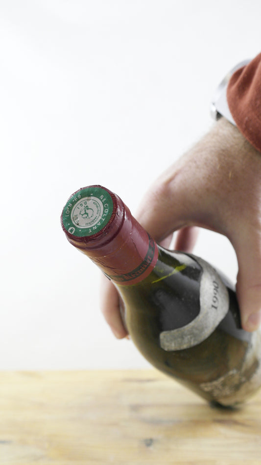 Domaine de Roche Saint-Jean 1990