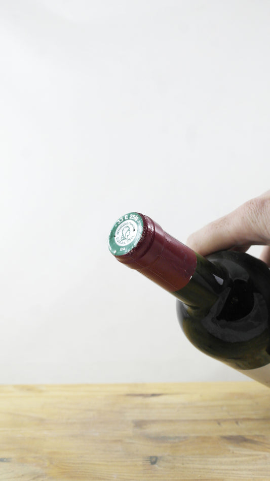 Terrefortes du Plateau 2011