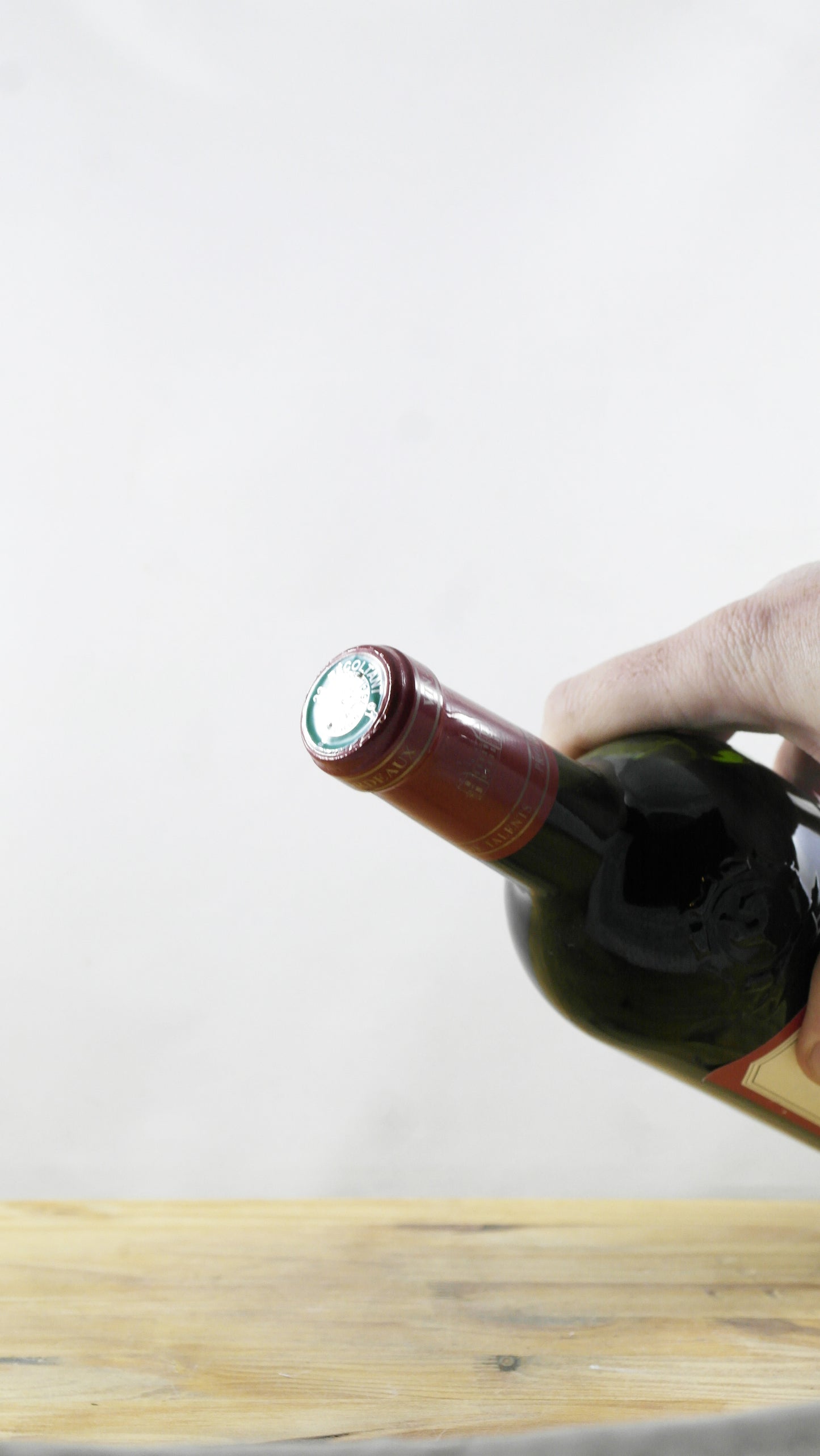 Chevaux des Girondins 2001