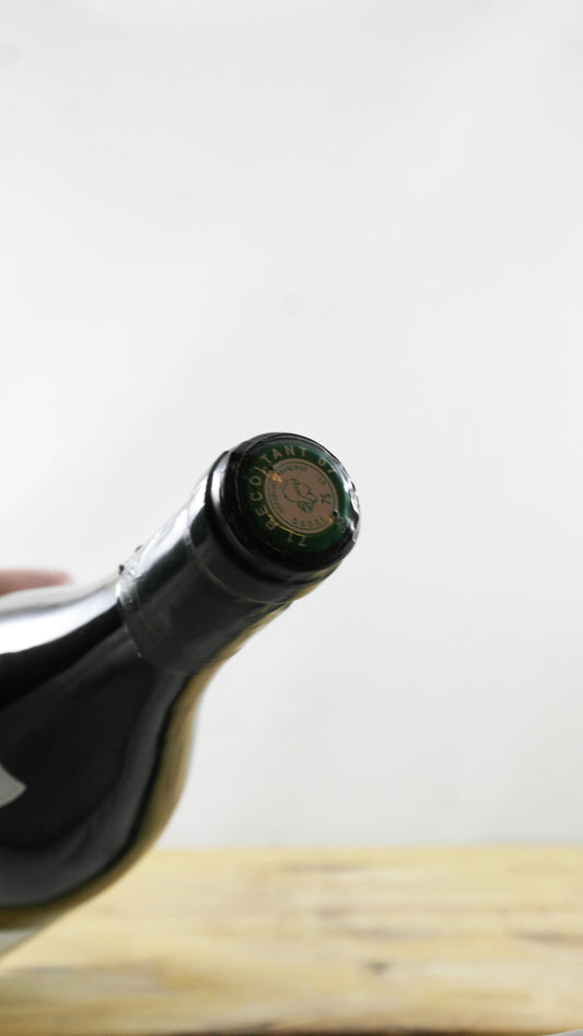 Château de Sassangy 2005