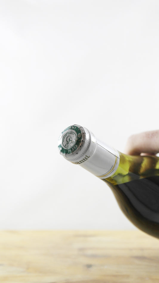 Gevrey Chambertin Chanut Frères 1982 MI