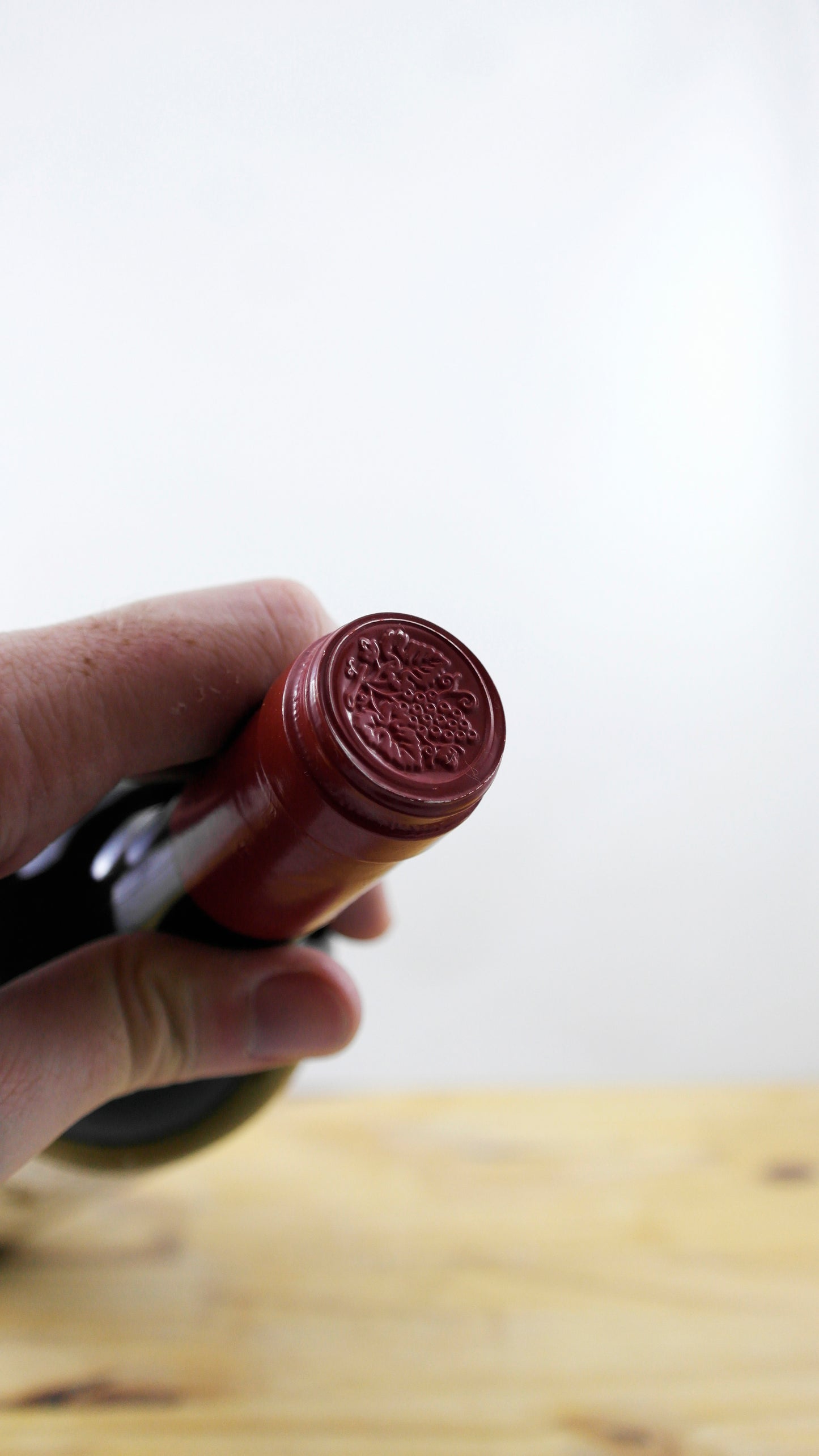 Vin Année 1995 Château Saint-Hilaire