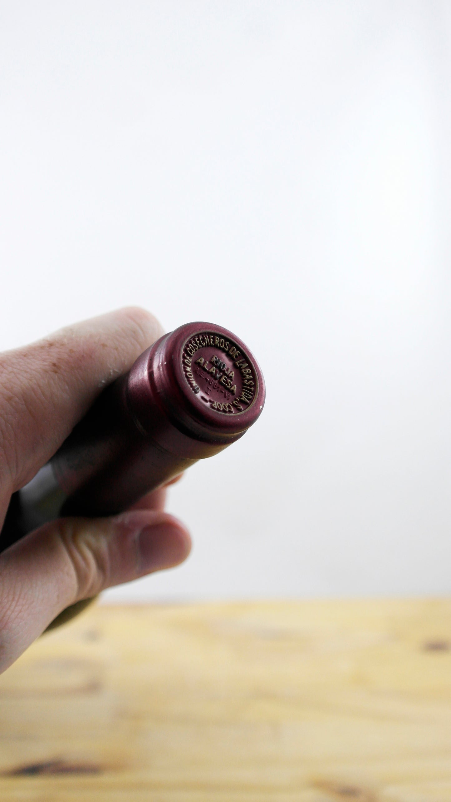 Vin Année 1995 Rioja Solagüen