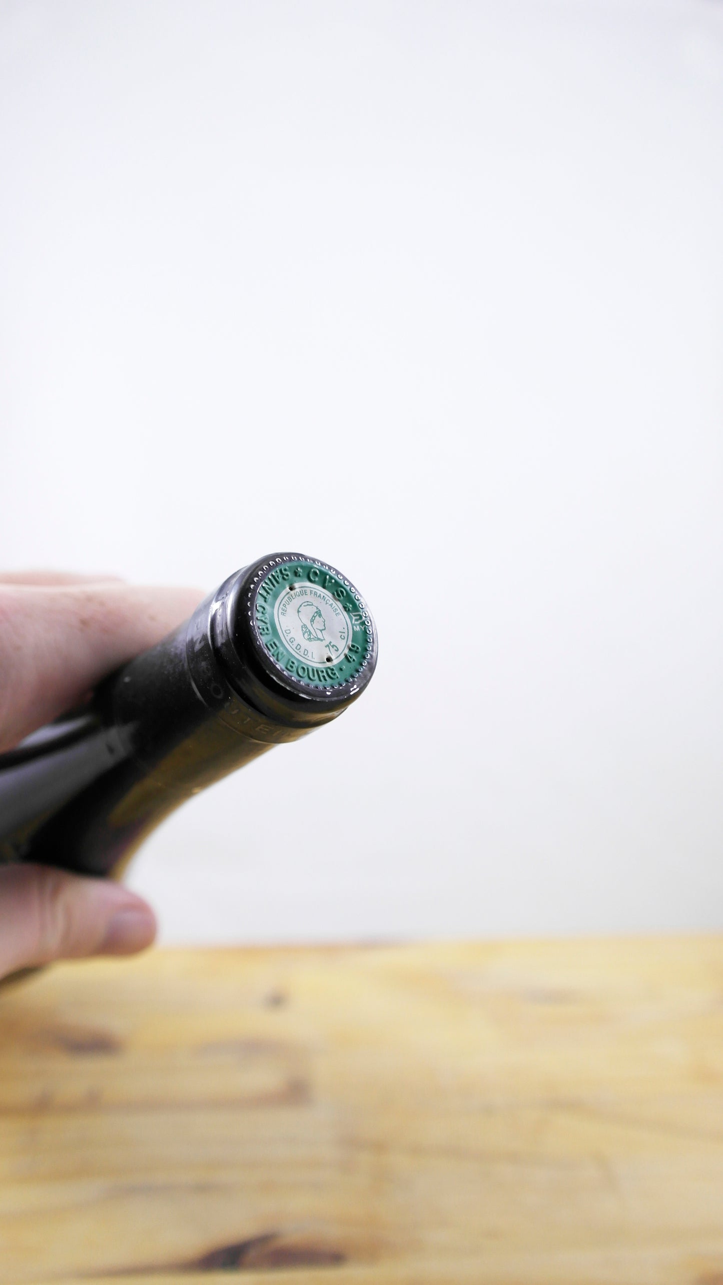 Vin Année 1996 Saumur Champigny des Belles Vues