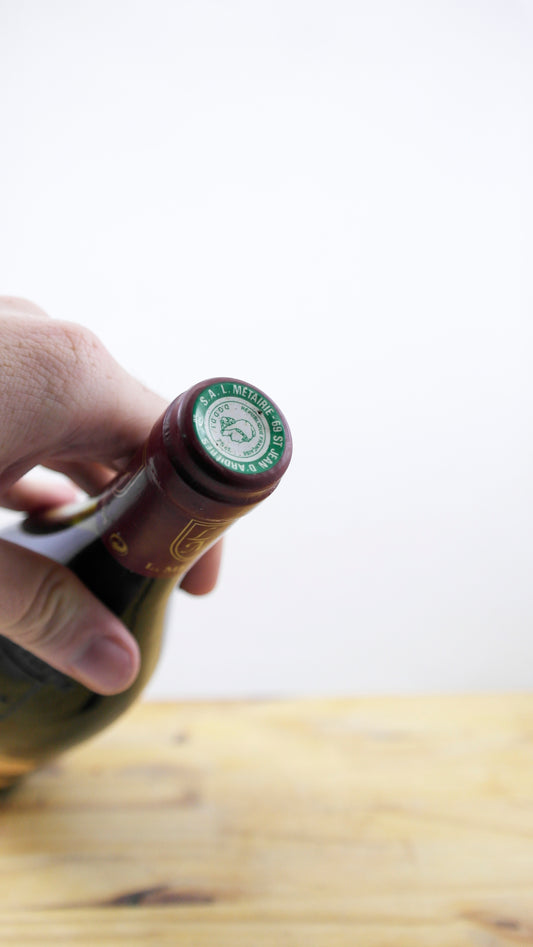 Vin Année 1995 Domaine du Chapitre Saint Amour