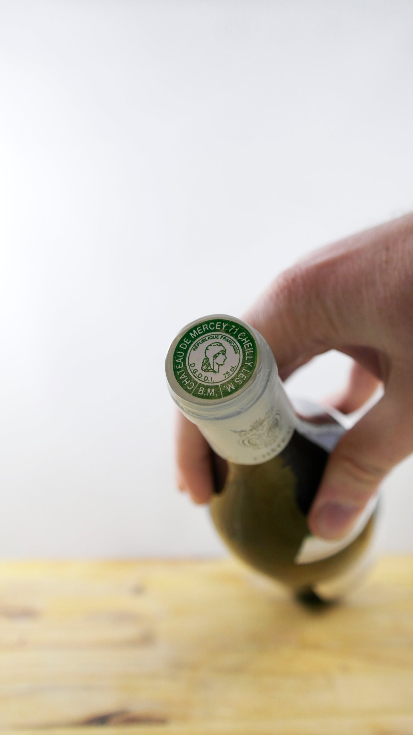 Vin Année 1995 Château de Mercey Mercurey 1er Cru