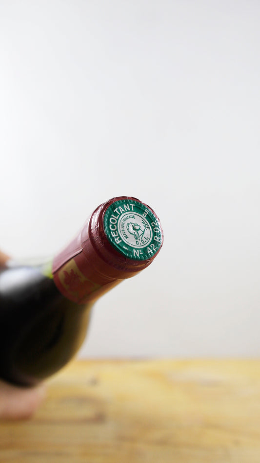 Vin Année 1990 Côtes Roannaises Demon