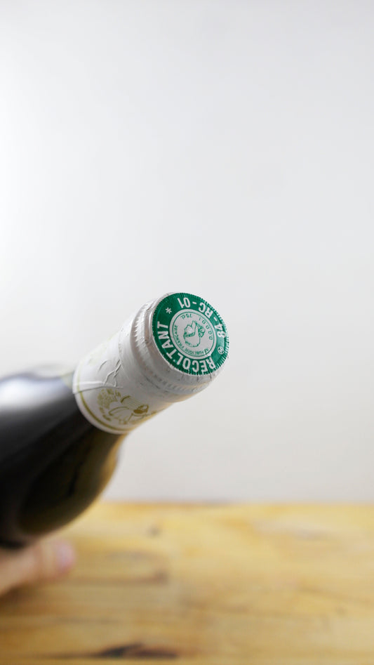 Vin Année 1999 Domaine des Causses Saint Eynes