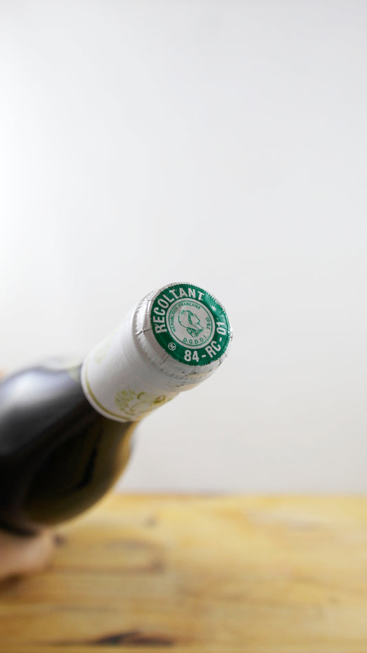 Vin Année 1999 Domaine des Causses Saint Eynes