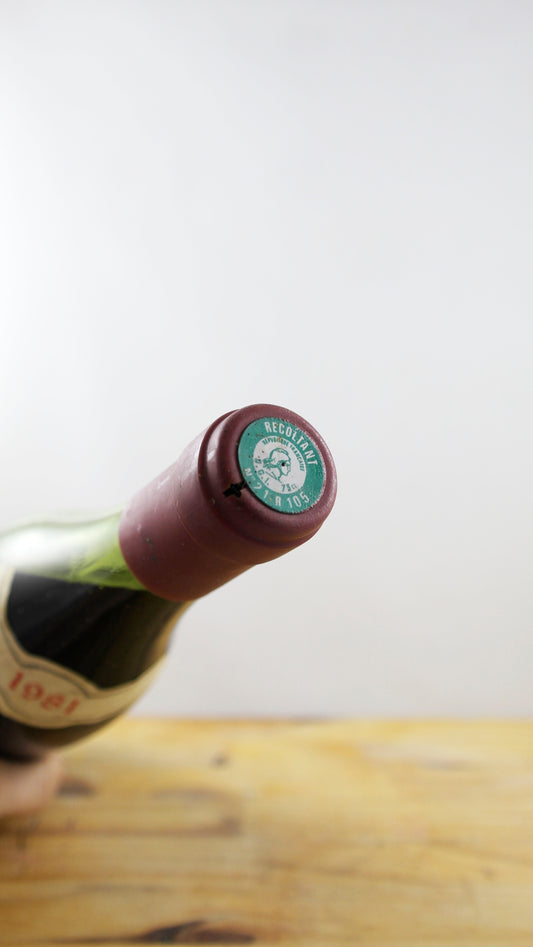 Vin Année 1981 Gevrey Chambertin Marchand