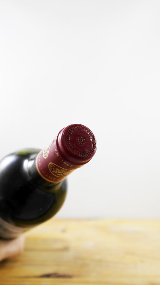 Vin Année 1997 Château Camensac