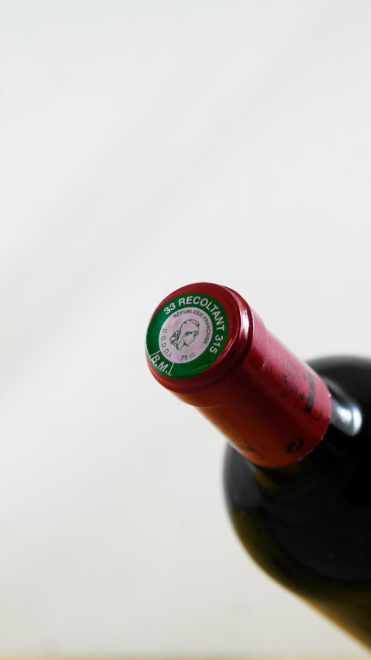 Vin Année 2001 Château Moulin Riche