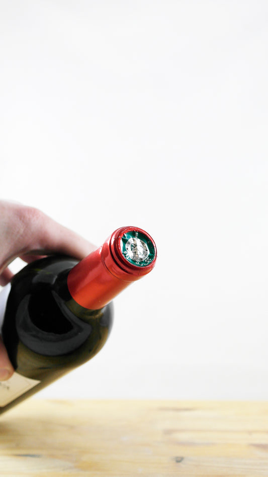 Vin Année 2005 Château Camino Salva