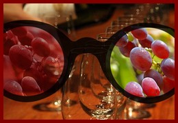 La Dégustation du Vin – L’Aspect Visuel