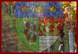 Bordeaux - Le Vin de Saint-Estèphe