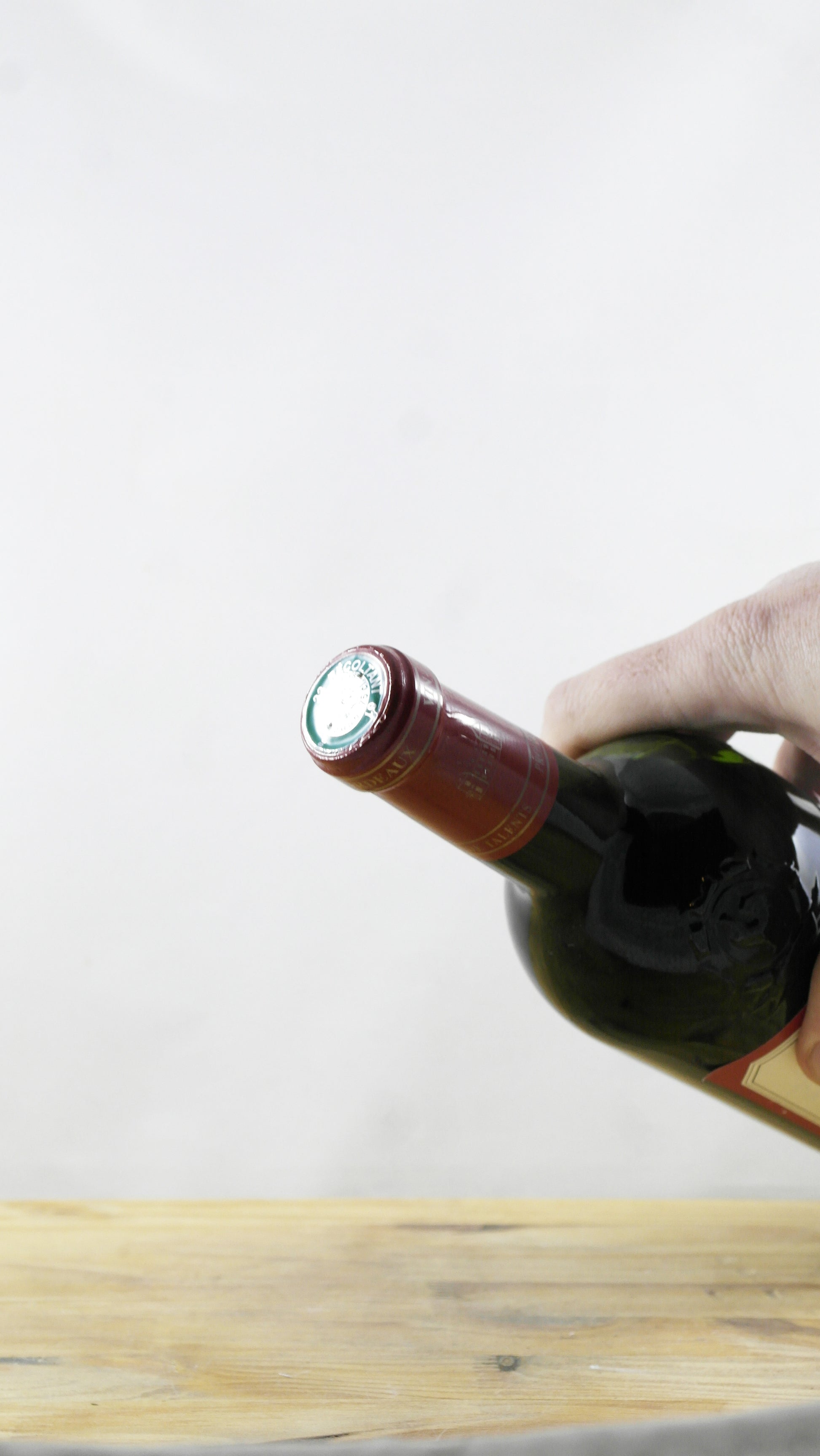 Chevaux des Girondins 2001