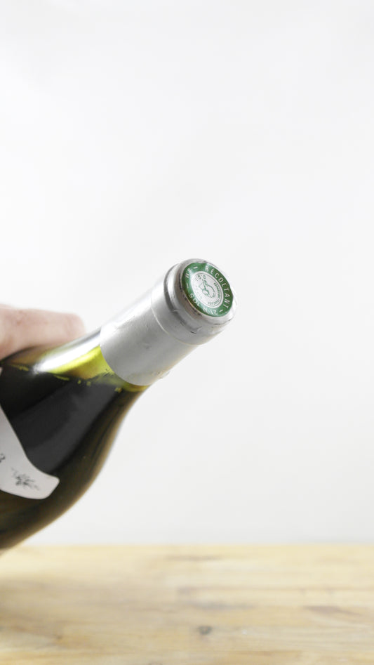 Hautes Côtes de Nuits Thevenot 1983 LB