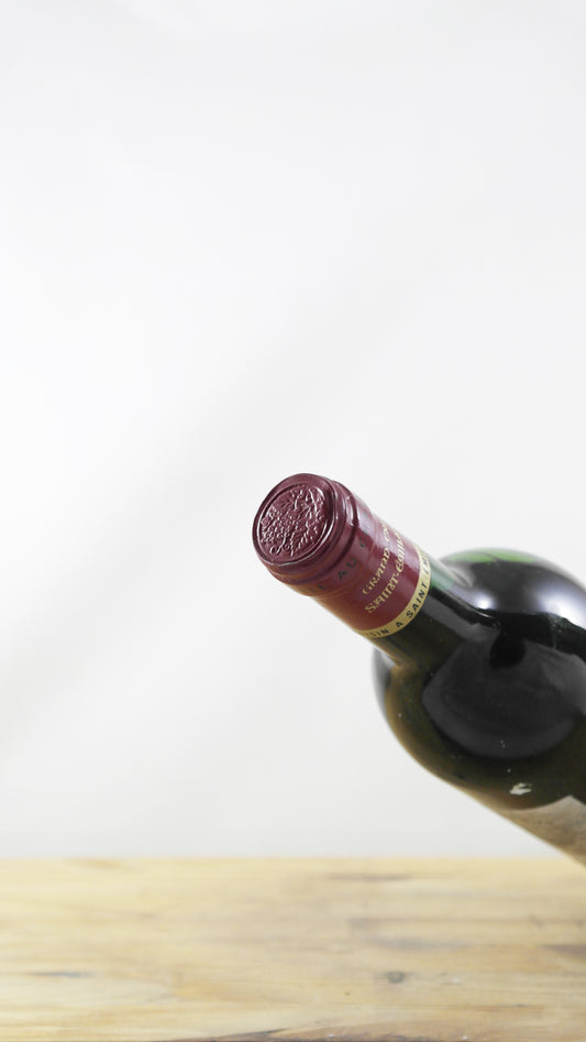 Chateau jean Voisin 1989 ELA