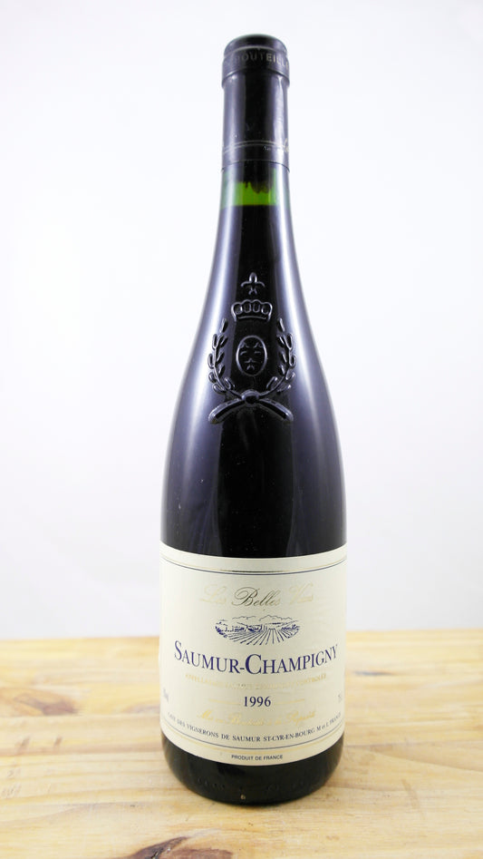 Vin Année 1996 Saumur Champigny des Belles Vues