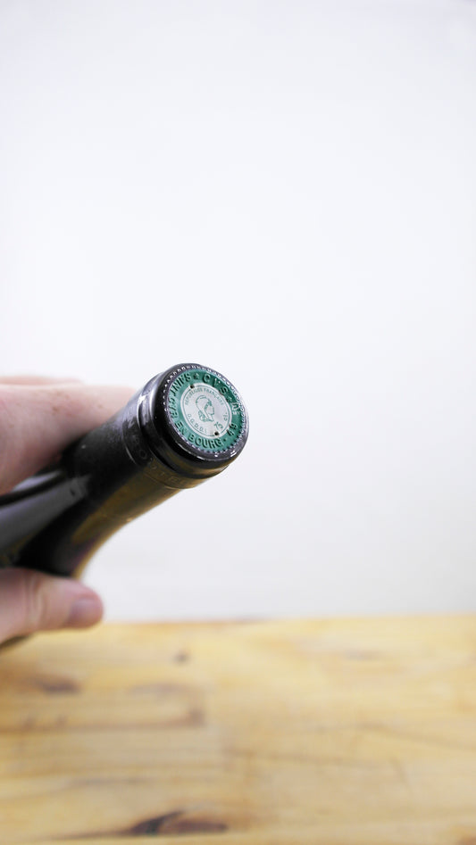 Vin Année 1996 Saumur Champigny des Belles Vues