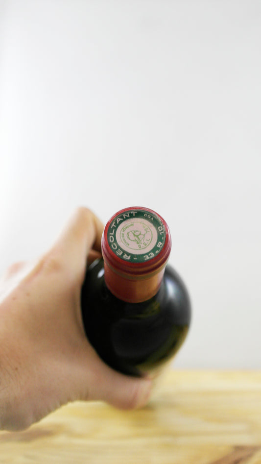 Vin Année 1981 Château Pontoise Cabarrus