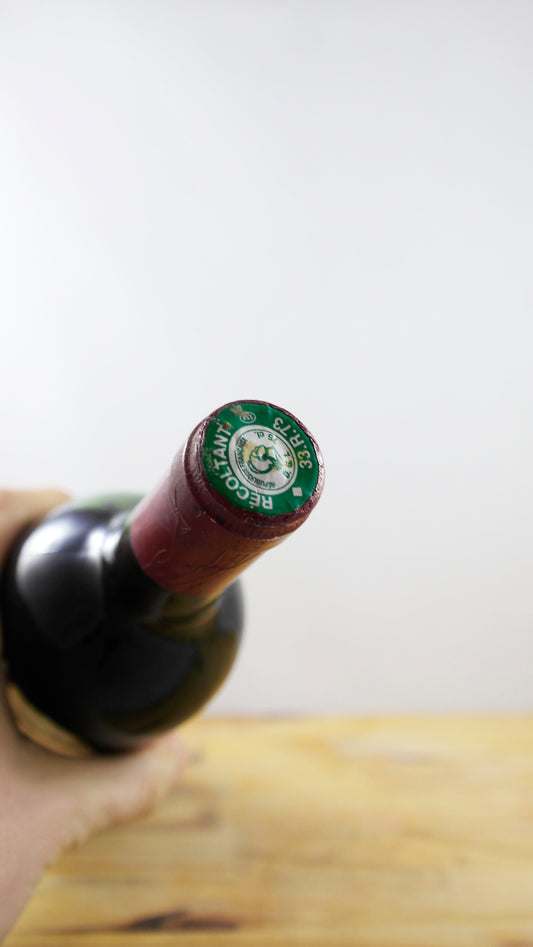 Vin Année 1989 Château Haut-Mazerolles