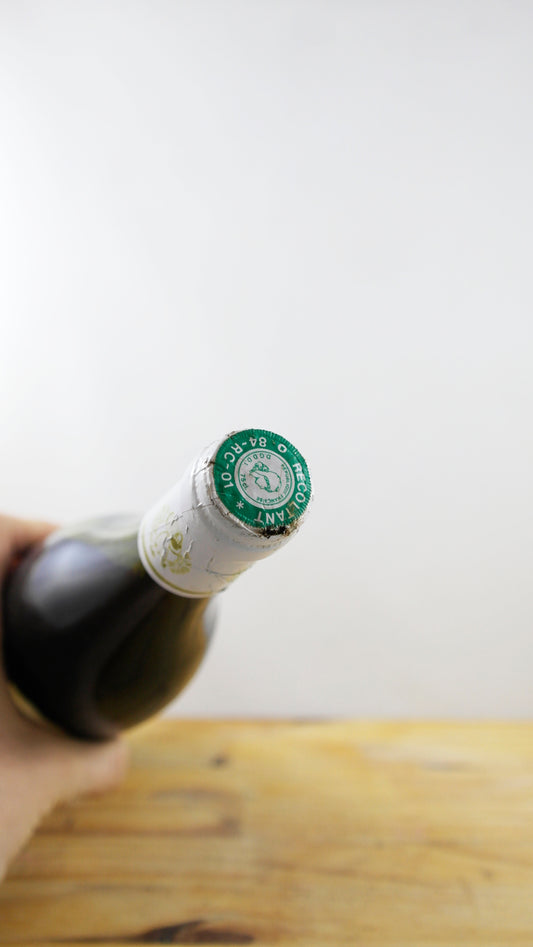 Vin Année 1998 Domaine des Causses Saint Eynes