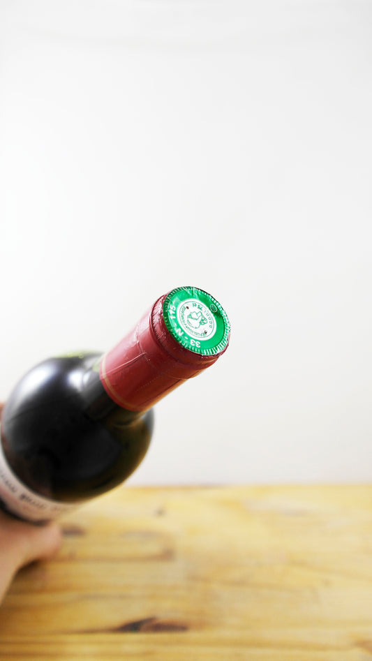 Vin Année 1999 Château Puy du Chay