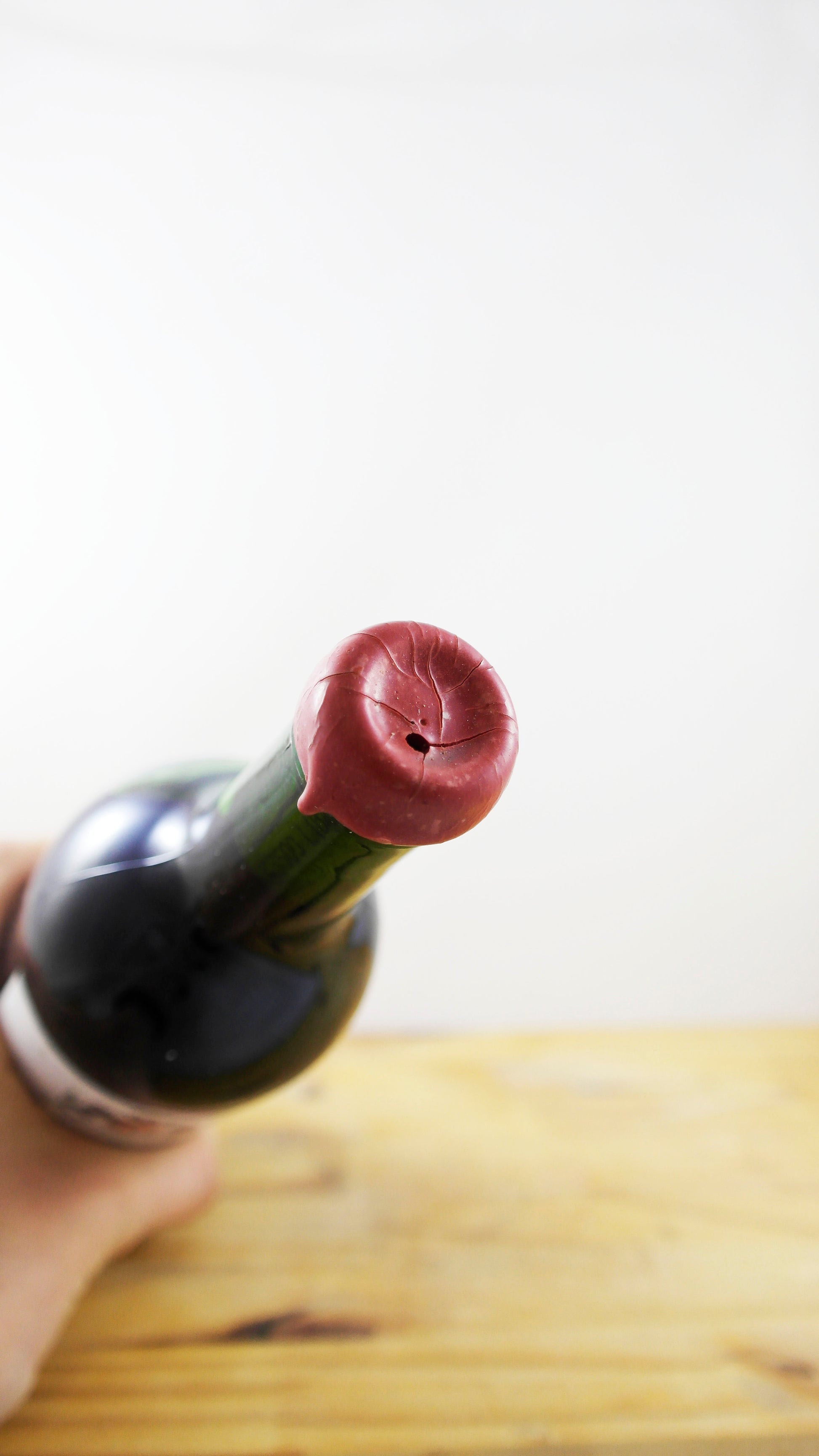 Vin Année 1995 Lussac Saint-Emilion Fournial