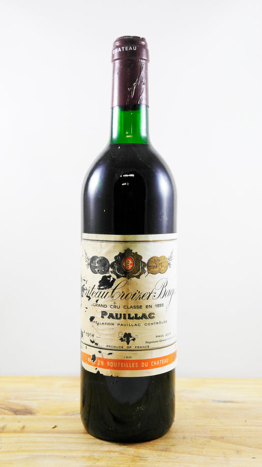Vin Année 1993 Château Croizet-Bages