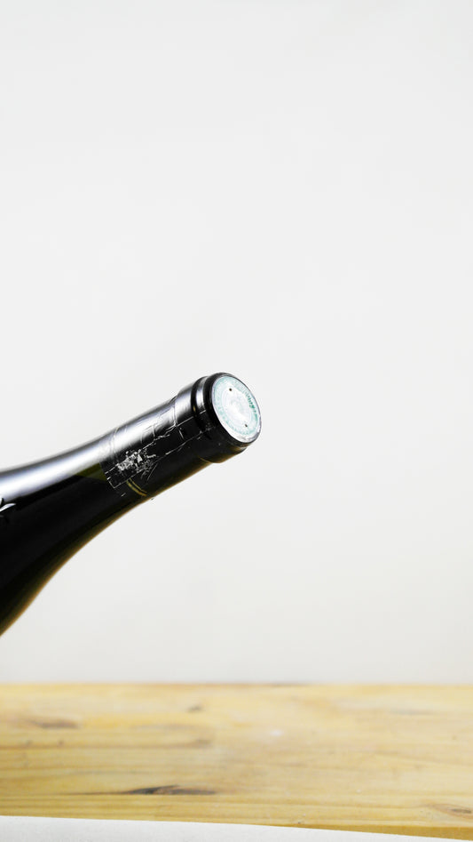Vin Année 1999 Bernard Germain
