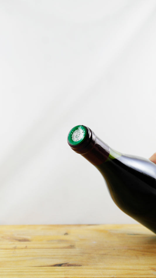 Vin Année 2004 Beaujolais-Villages Nouveau - Trénel Fils