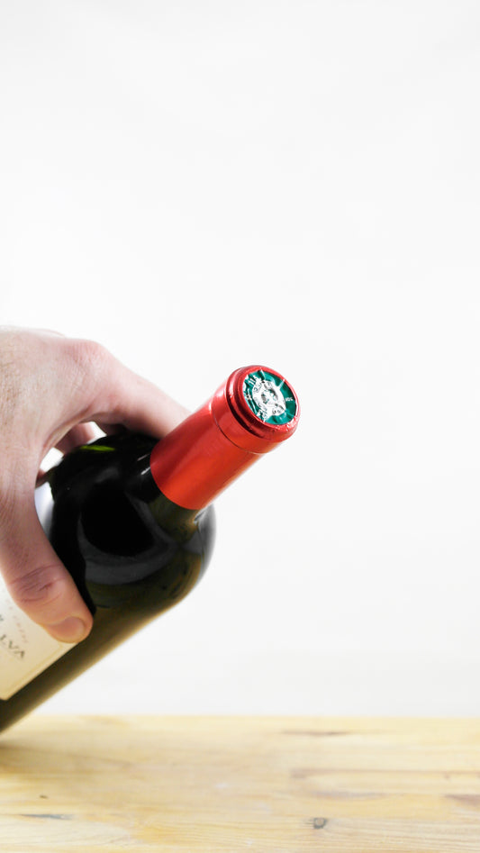 Vin Année 2005 Château Camino Salva